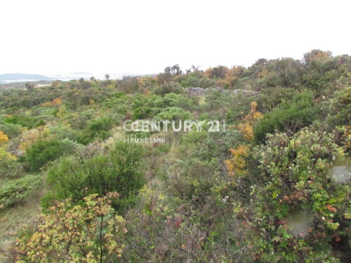 Thumbnail 6202546 - 2