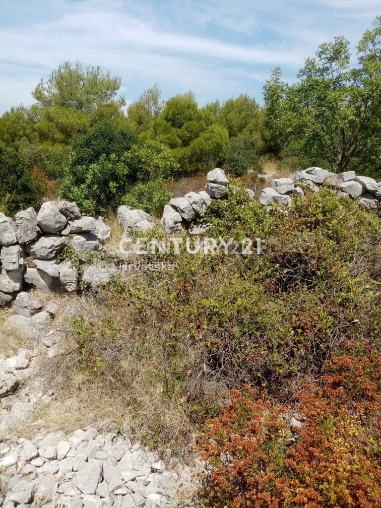 Image 6202568 - 7