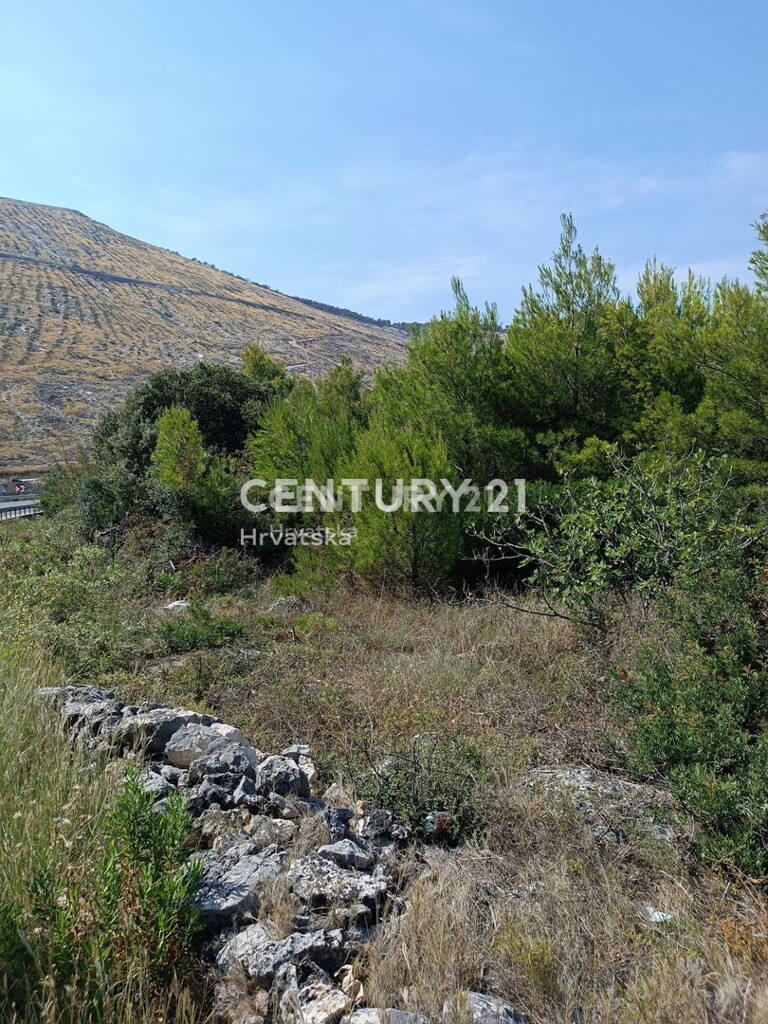Image 6202581 - 4