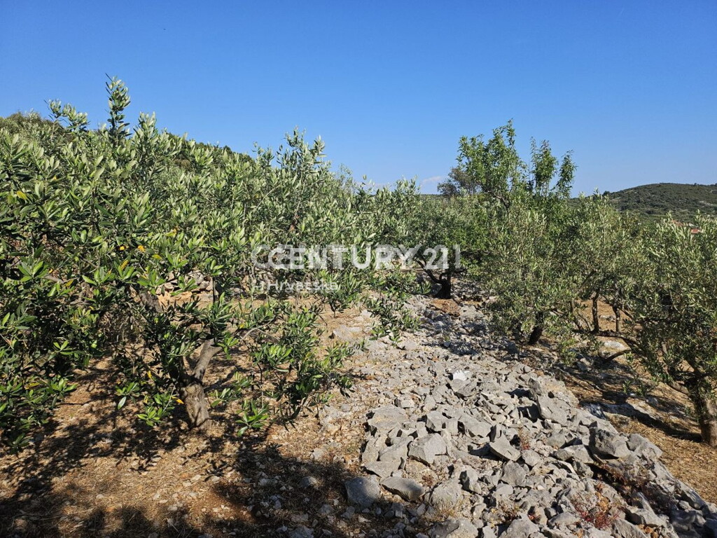 Image 6202593 - 17