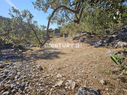 Thumbnail 6202593 - 14