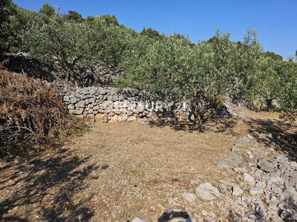Image 6202593 - 16