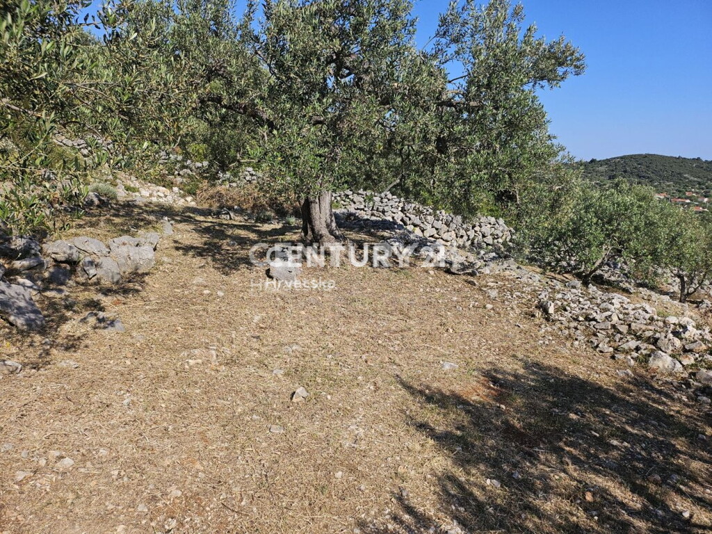 Image 6202593 - 10