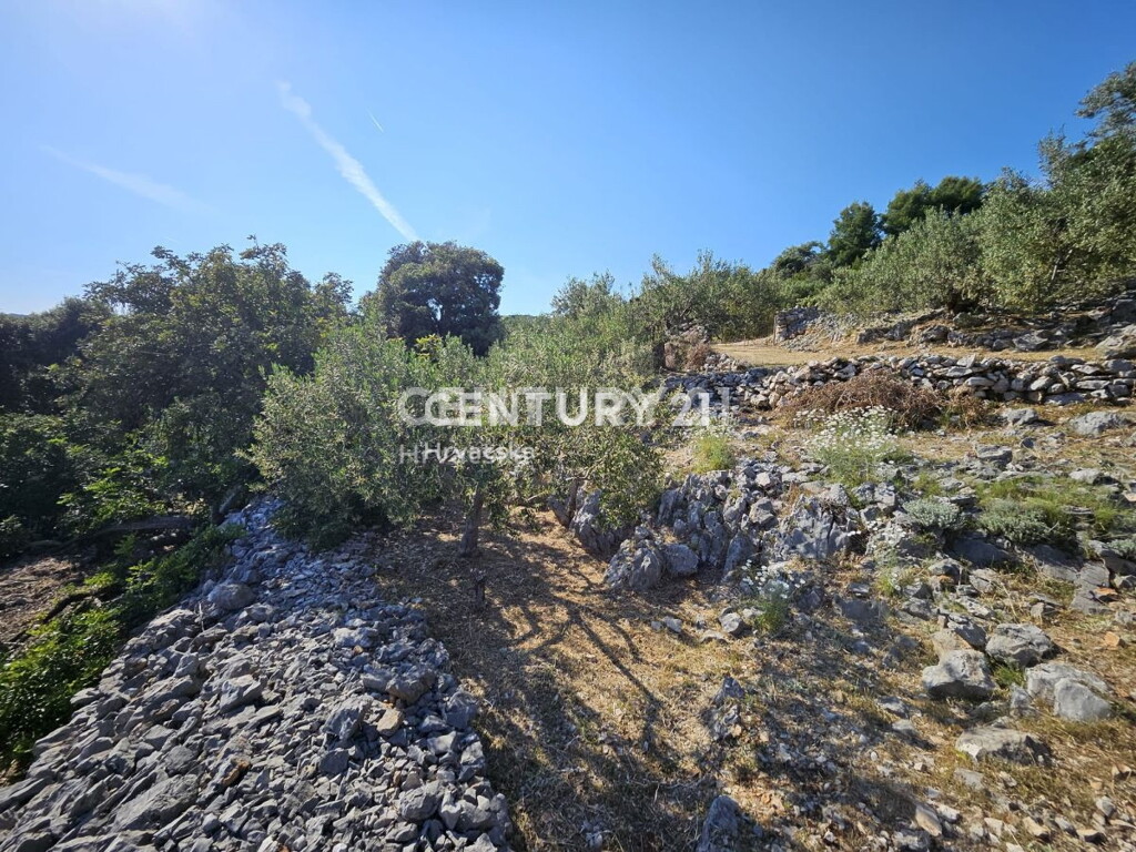Image 6202593 - 6