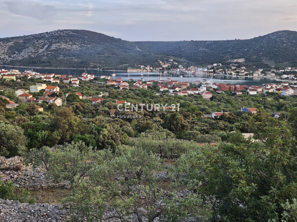 Image 6202593 - 1