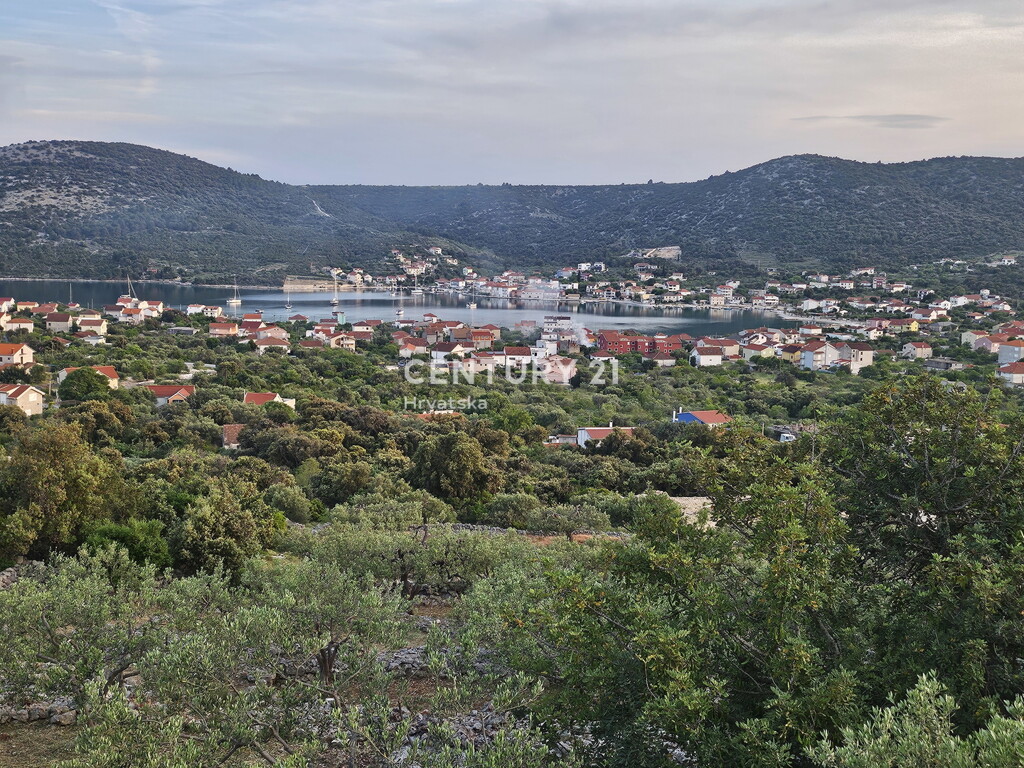 Image 6202593 - 19