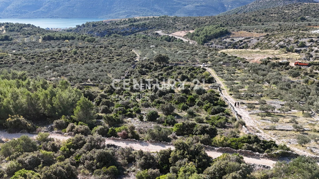 Image 6202604 - 1