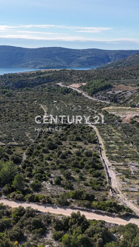 Thumbnail 6202604 - 3