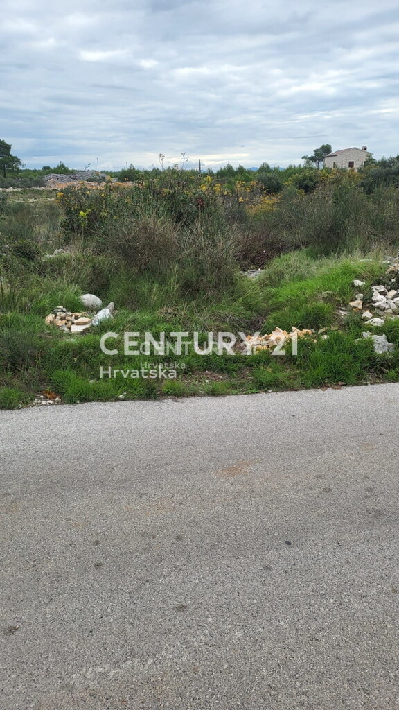 Image 6202605 - 2