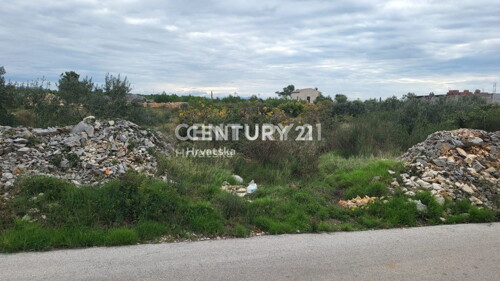 Thumbnail 6202605 - 3