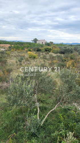 Thumbnail 6202605 - 5