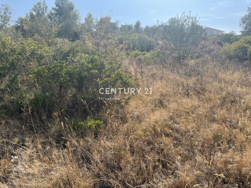Thumbnail 6202609 - 4