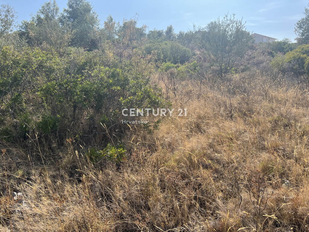 Image 6202609 - 4