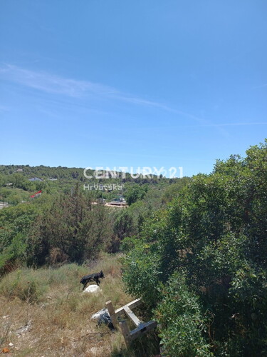 Thumbnail 6202617 - 3