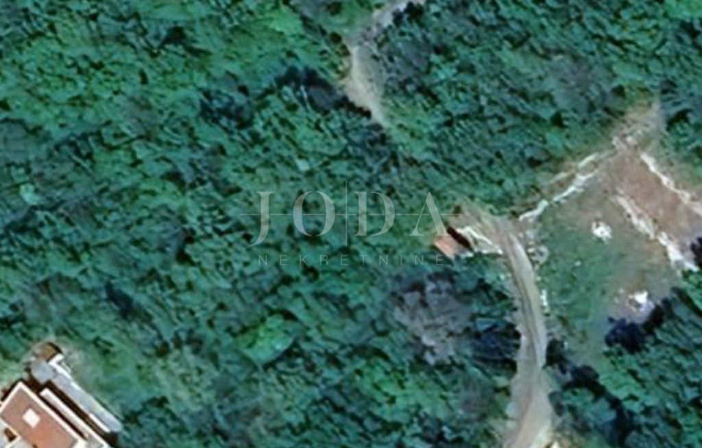 Image 6202853 - 1