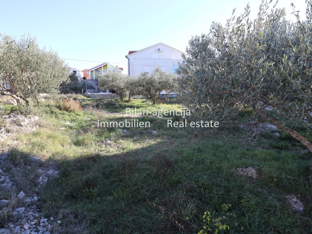 Image 6202912 - 5