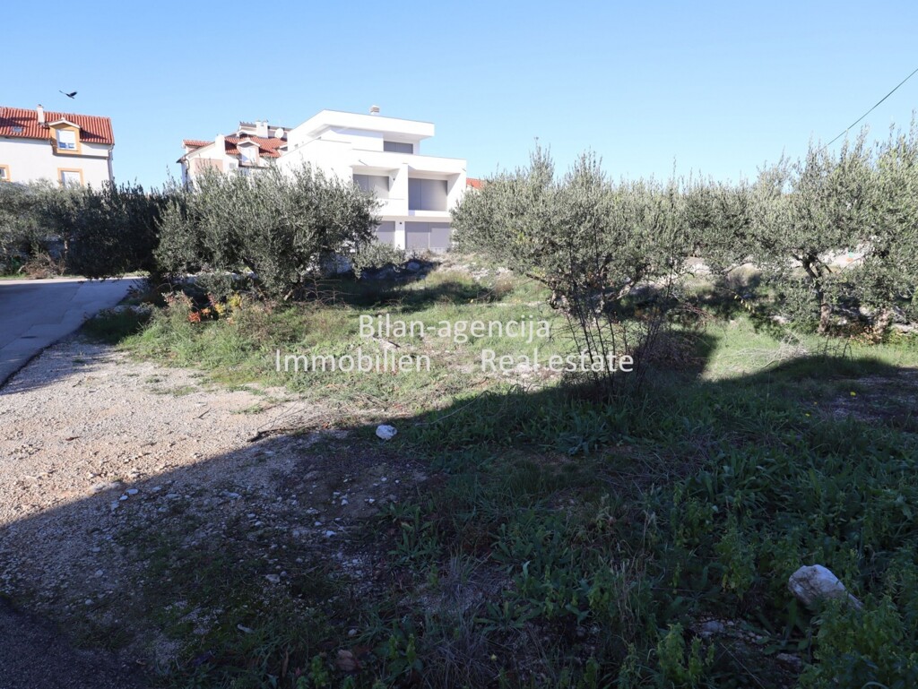 Image 6202912 - 2