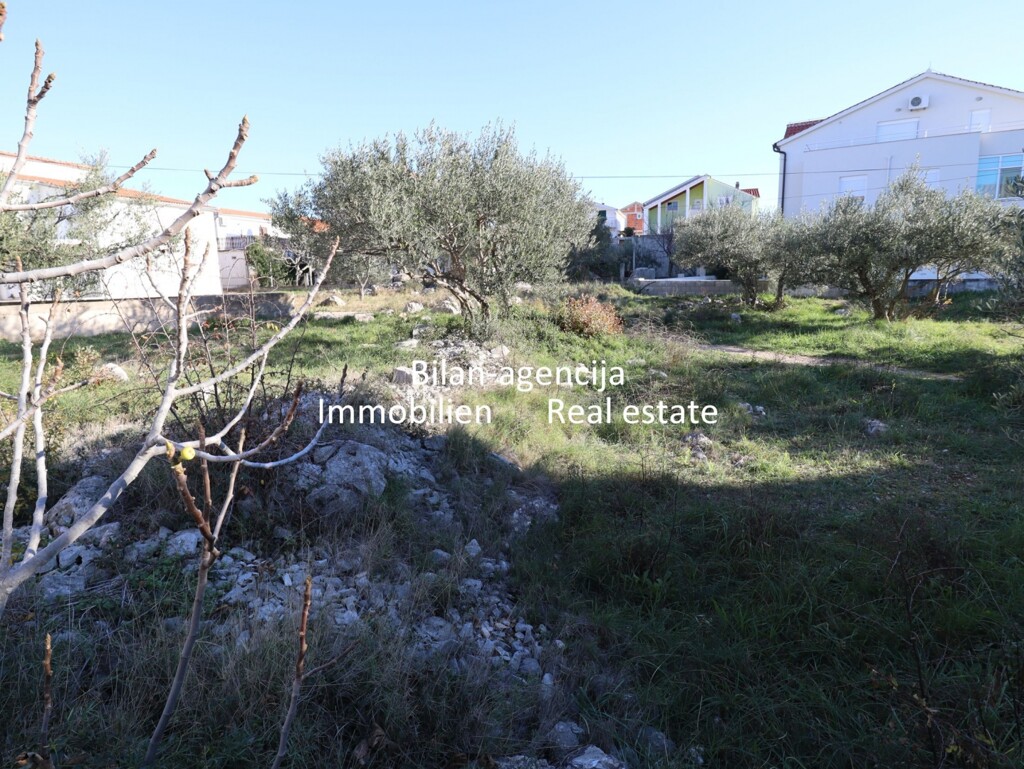 Image 6202912 - 4