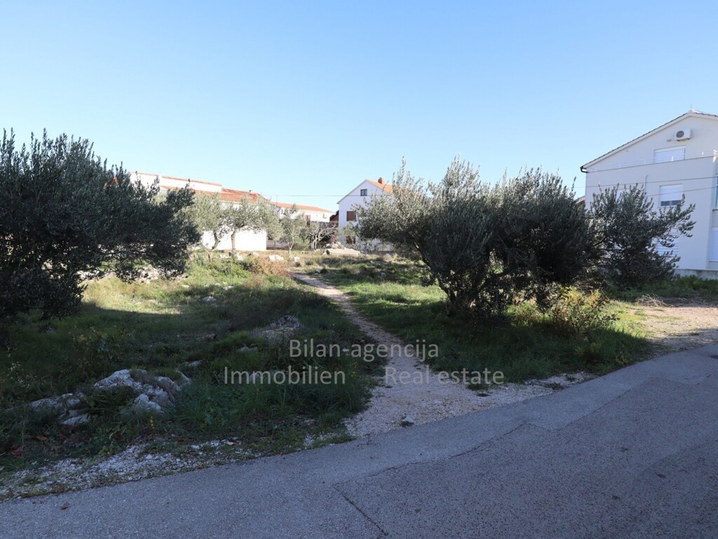 Image 6202912 - 6
