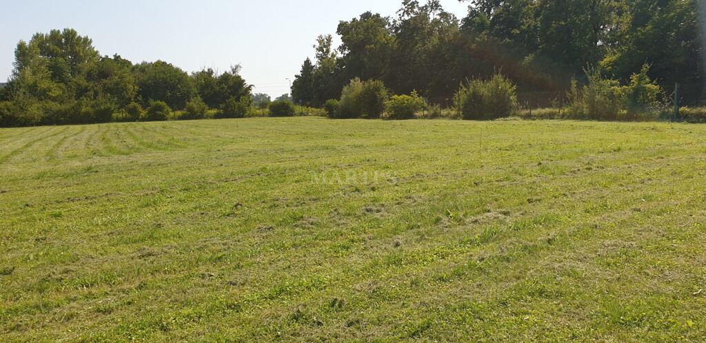 Image 6203110 - 1