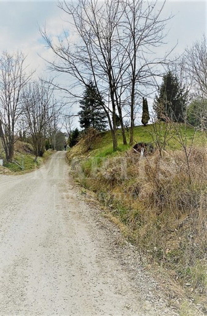 Image 6203117 - 2