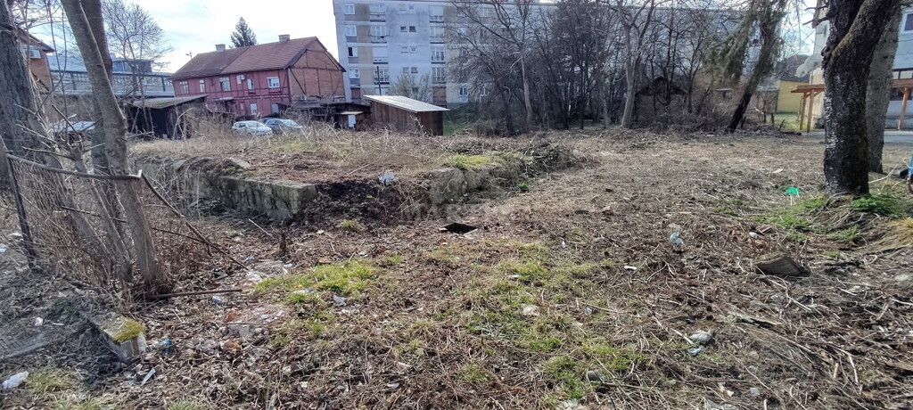 Image 6203151 - 1
