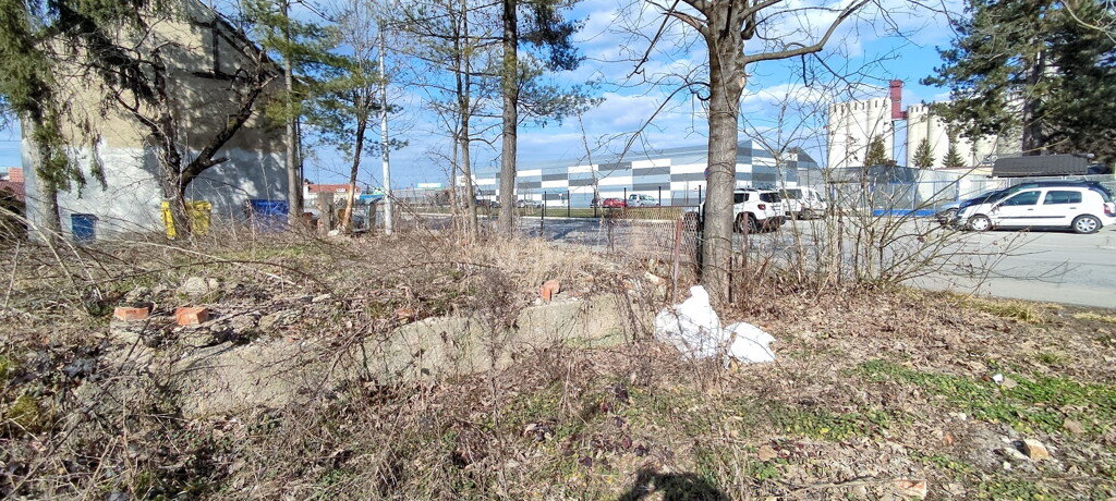 Image 6203151 - 8