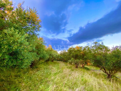Thumbnail 6203152 - 5