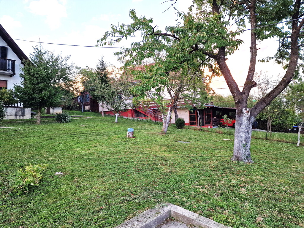 Image 6203168 - 1