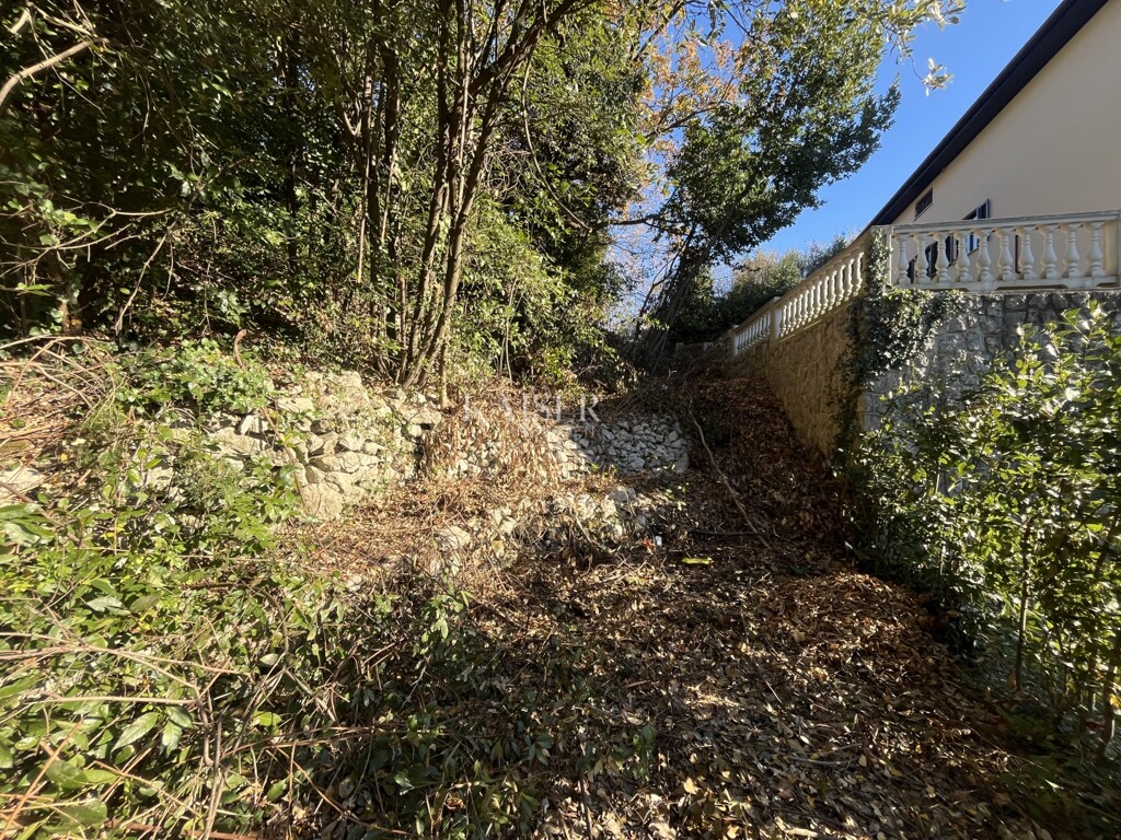 Image 6203250 - 5
