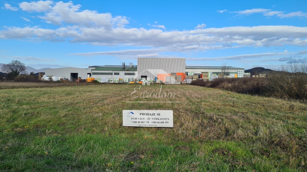 Image 6203343 - 1