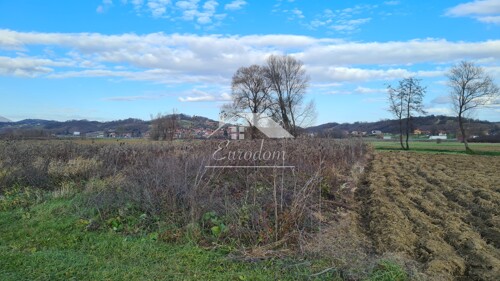 Thumbnail 6203370 - 2