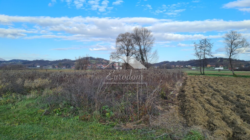 Image 6203370 - 2