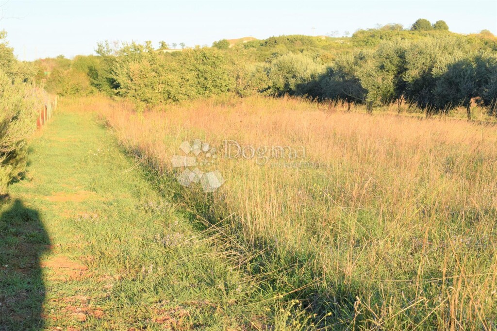 Image 6203679 - 2