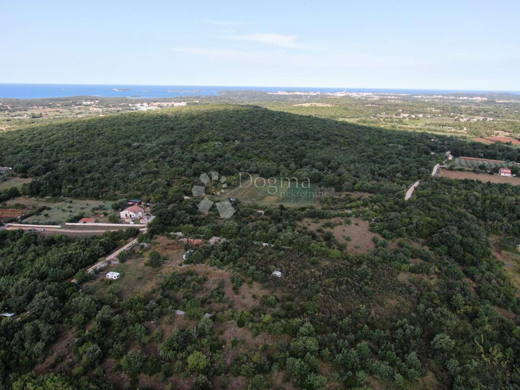 Image 6203684 - 3