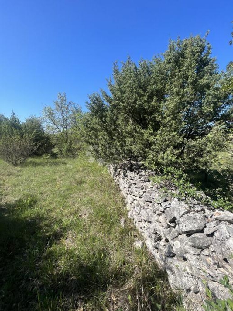 Image 6203690 - 1