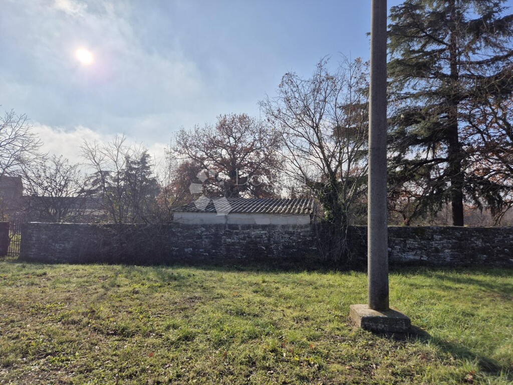 Image 6203698 - 1