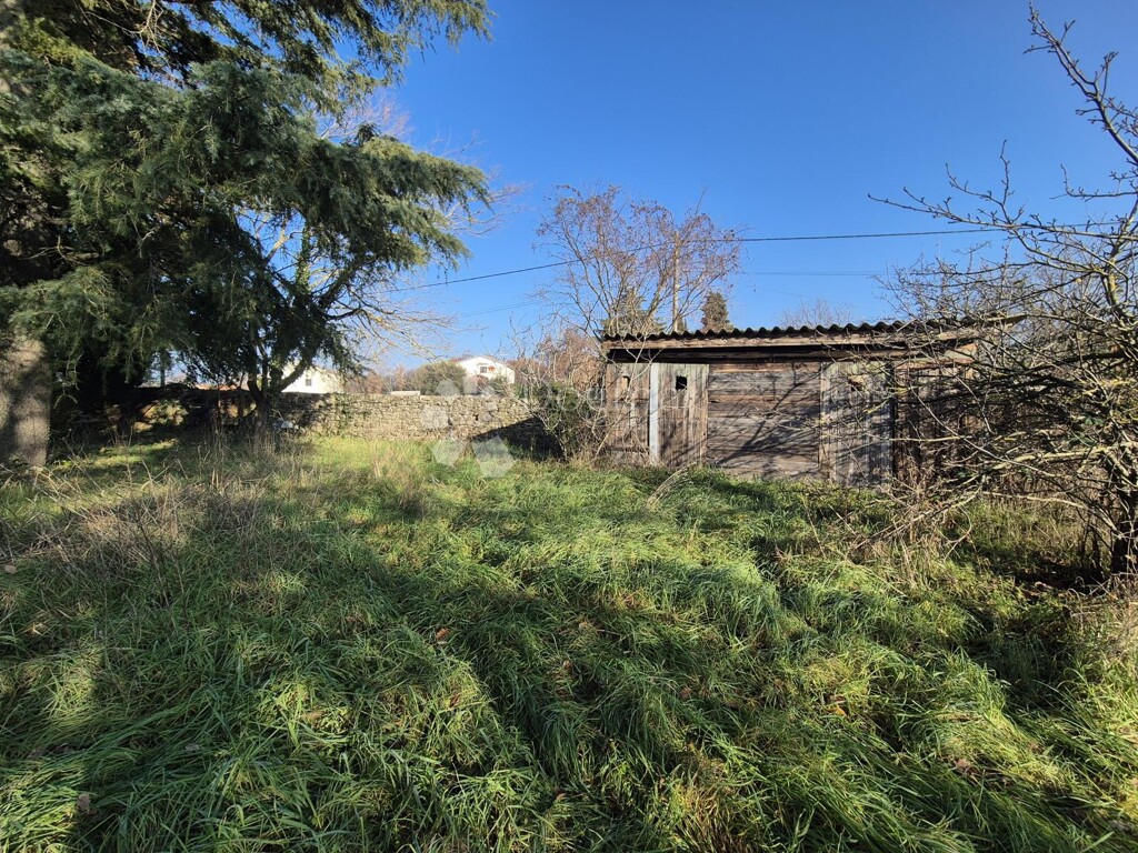 Image 6203698 - 5