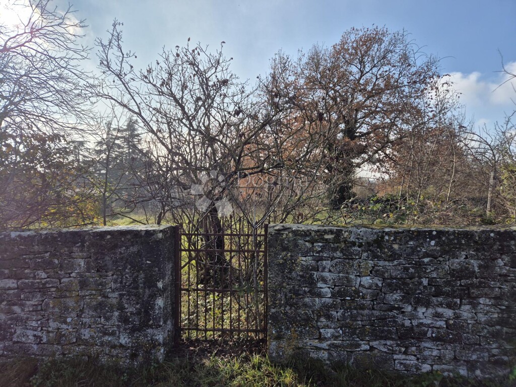 Image 6203698 - 4