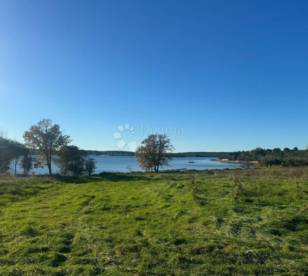 Image 6203715 - 3