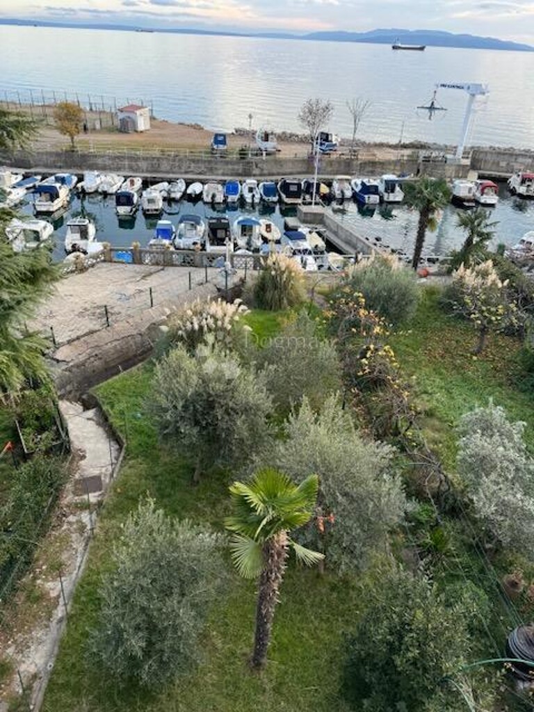 Image 6203729 - 25