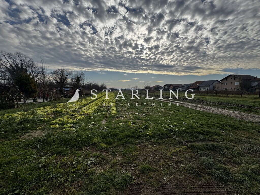 Image 6203750 - 1