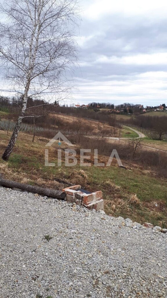 Image 6203849 - 9