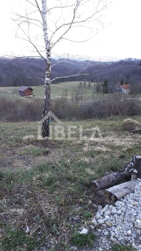 Thumbnail 6203849 - 5