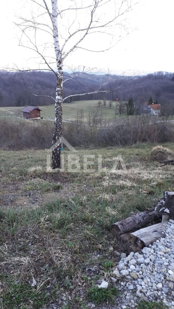 Image 6203849 - 5
