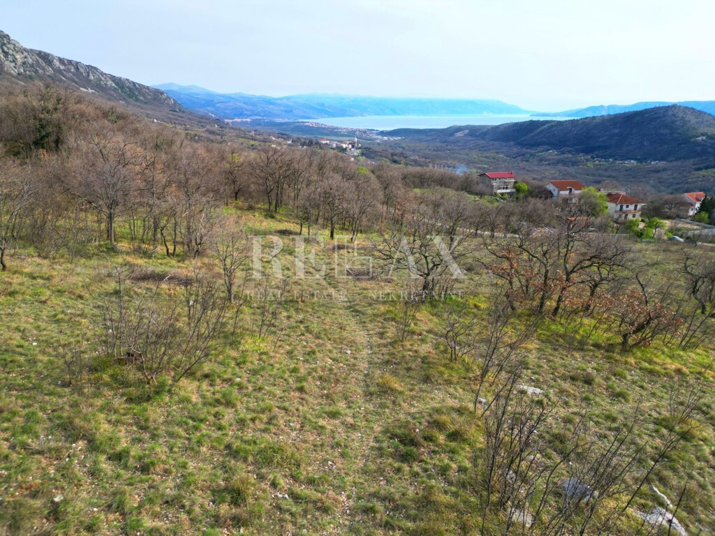 Image 6203878 - 11