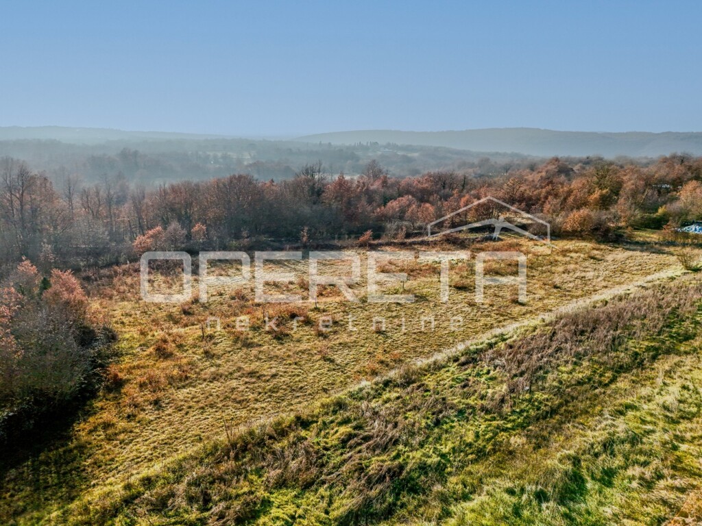 Image 6203879 - 6