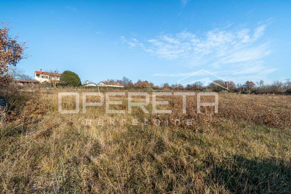 Image 6203879 - 4