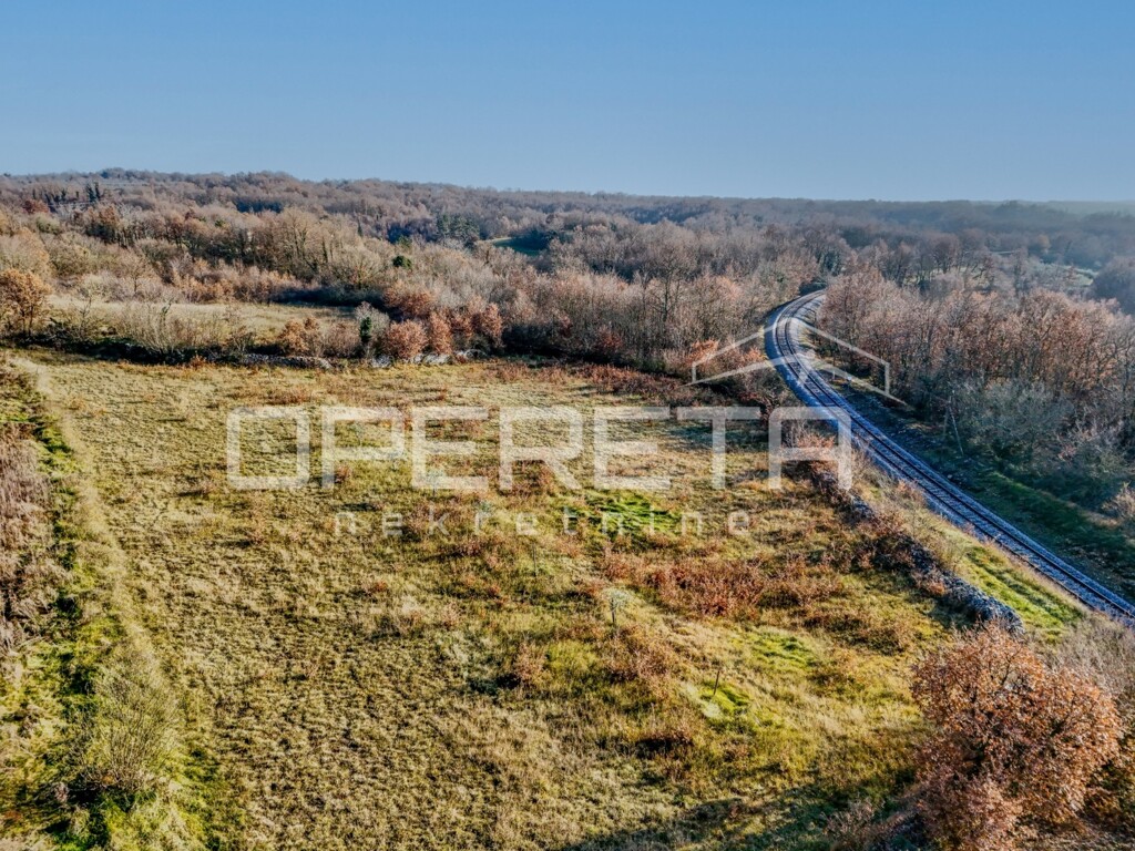 Image 6203879 - 2