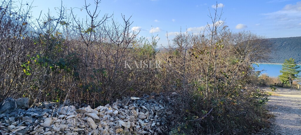 Image 6203887 - 6